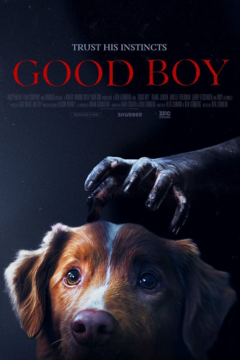 ดูหนังออนไลน์ Good boy (2025) มะหมาเห็นผี